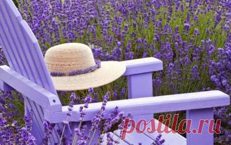 Дача Своими Руками | Facebook