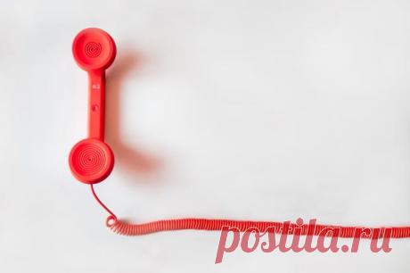 Британка нашла пропавшего без вести кота, узнав его мяукание во время разговора по телефону