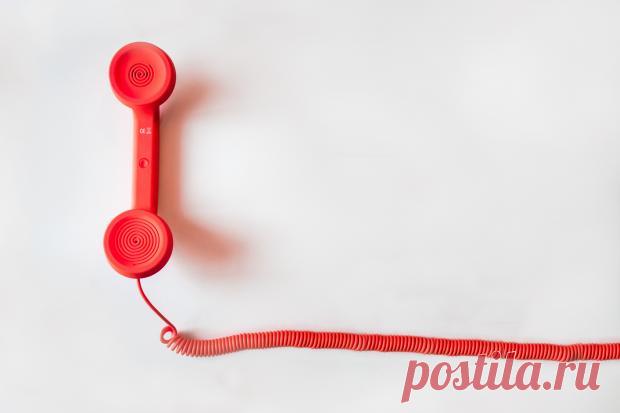 Британка нашла пропавшего без вести кота, узнав его мяукание во время разговора по телефону