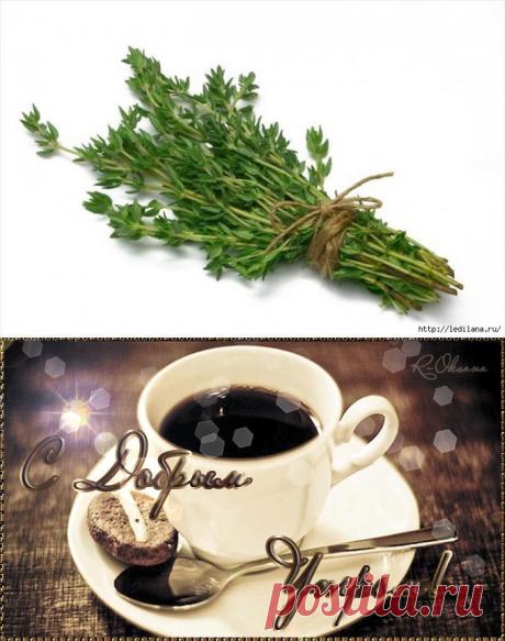 8 натуральных продуктов, уничтожающих паразитов в организме