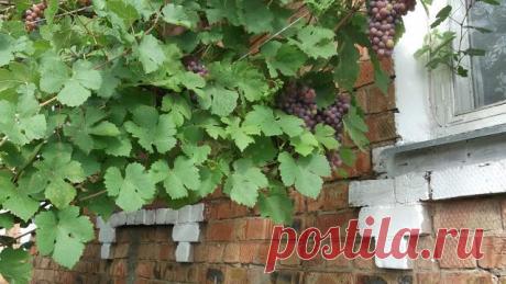 Марина Матюшина (Сёмина)
52 года, Россия, Самарская обл.Кинельский р-он.