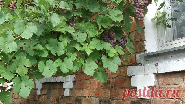 Марина Матюшина (Сёмина)
52 года, Россия, Самарская обл.Кинельский р-он.