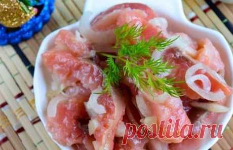 Как вкусно посолить горбушу в домашних условиях для праздничного стола. Лучшие рецепты засолки горбуши дома. Быстро и просто.