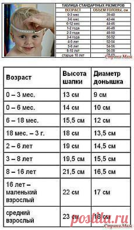 Табличка для замеров головы
