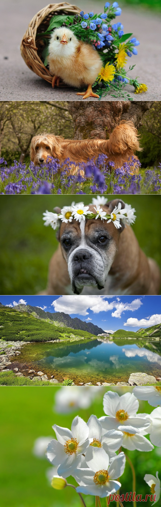 Сайт "Красивые изображения на рабочий стол"