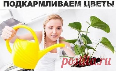 Секрет роскошного
комнатного цветника