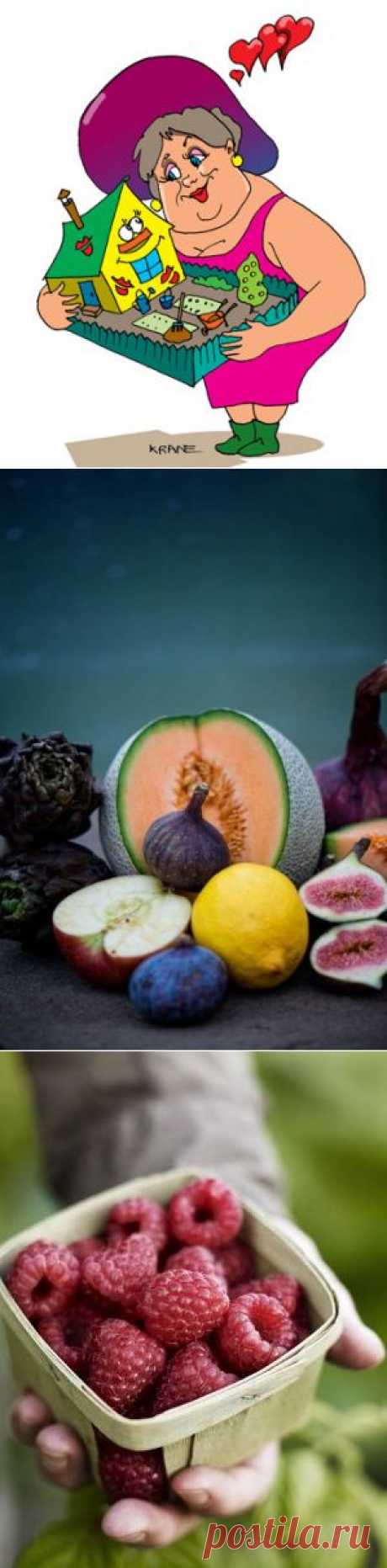 Секрет урожайности от наших бабушек