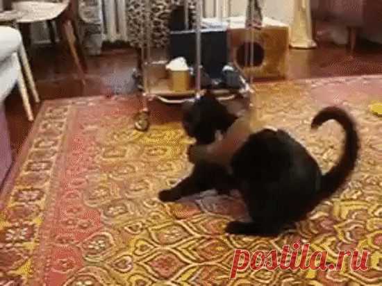 "Да уберите от меня эту психическую!"..Одноклассники