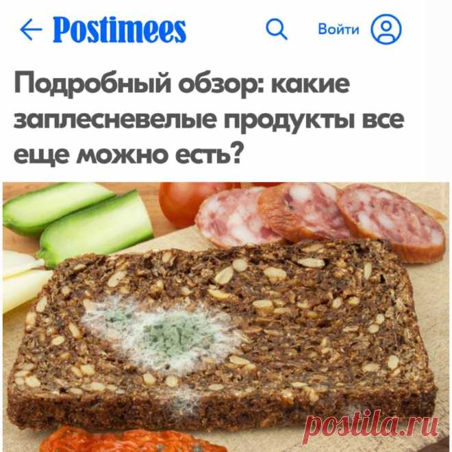 | VestiNewsRF.Ru