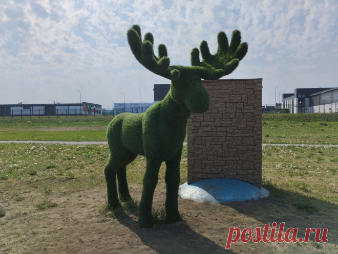 Красное озеро в Кемерово – любимое место для отдыха летом