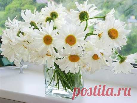 getImage (700×525)