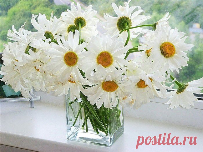 getImage (700×525)