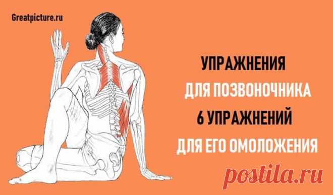 Упражнения для позвоночника.6 упражнений для его омоложения 
 Упражнения для позвоночника.6 упражнений для омоложения позвоночника. Победите боль в спине!Причины болезненных ощущений в области спины могут быть разными. Прежде всего, это отсутствие физических н…