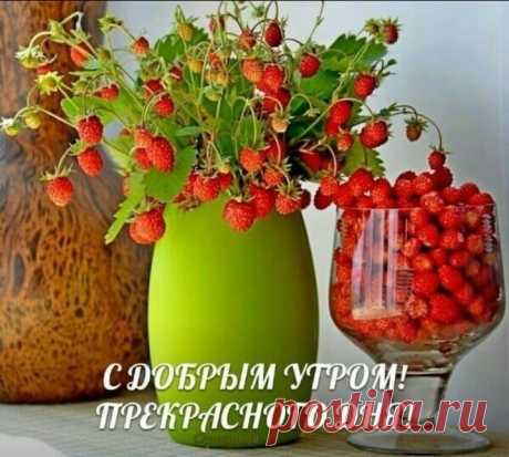 (56) Зина Таирова