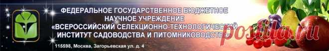 ФГБНУ ВСТИСП - Советы садоводам