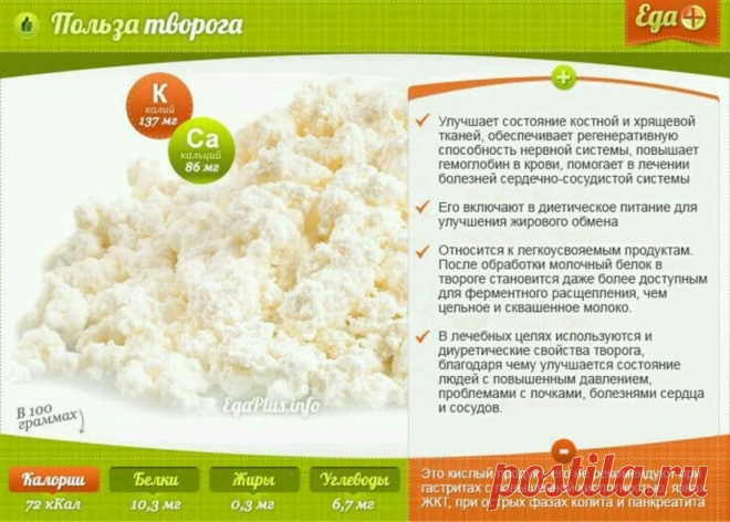 Польза творога