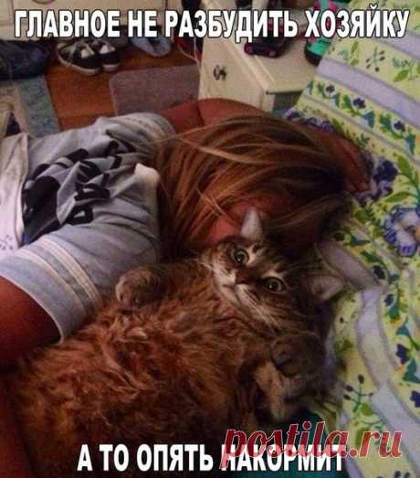 Улётный юмор