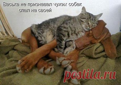 ((((Положительное Настроение))))
Елена Будник (Курачкова)