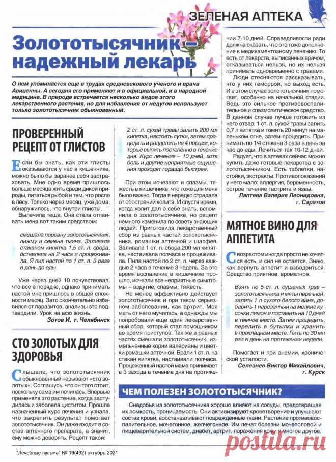 Золототысячник - надежный лекарь