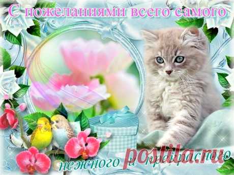 image (Изображение JPEG, 1024 × 768 пикселов) - Масштабированное (78%)