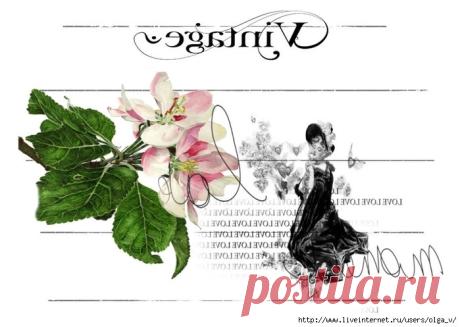 Марина Прибыткина