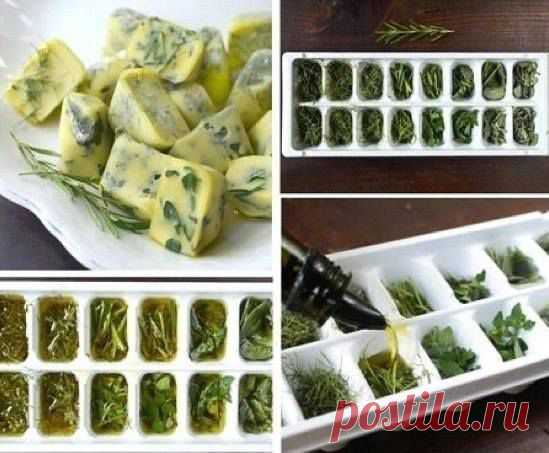 Как можно надолго сохранить зелень свежей?