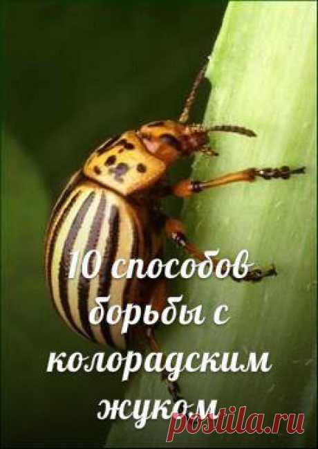 ✺ Все Самое Интересное ✺ | ВКонтакте