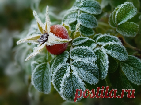 ДЛЯ КОМПИКА | Записи в рубрике ДЛЯ КОМПИКА | Дневник Axlamonka