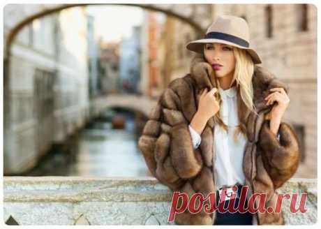 Факультет юмора