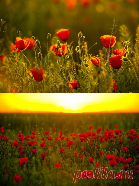 35PHOTO - Григорий Беденко - 伊犁河