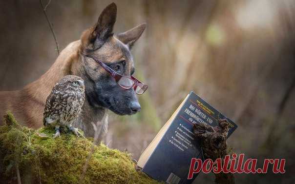 Мощные книги для саморазвития
Сохраните!

1. 
