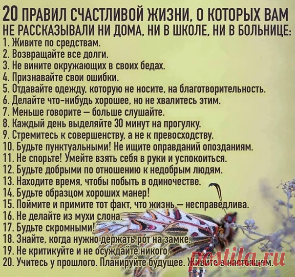 Пенсионеры ВКонтакте