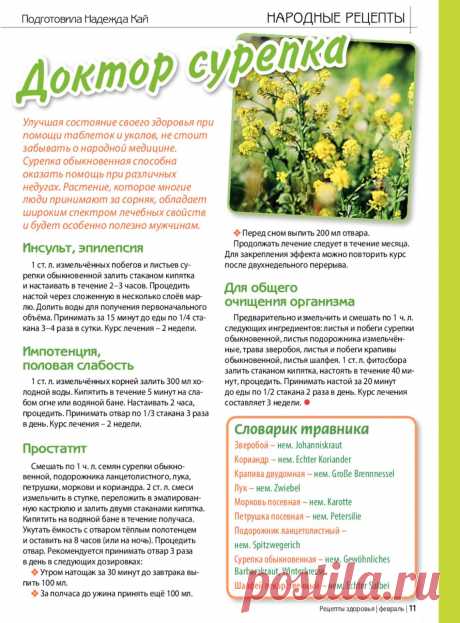 Сурепка лечит
