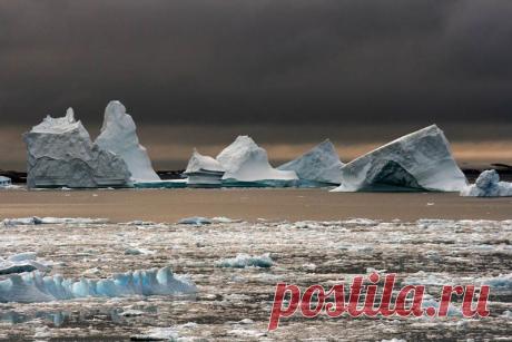 Самые крупные айсберги рождаются гигантскими ледниками Антарктиды.
