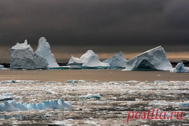 Самые крупные айсберги рождаются гигантскими ледниками Антарктиды.