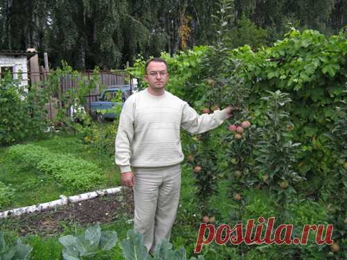 Дача по Законам Природы!