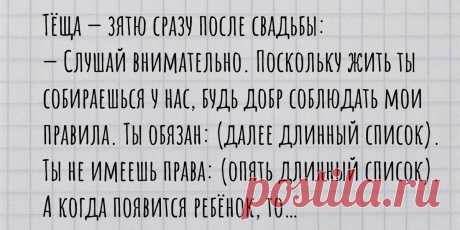 Подборка смешных анекдотов (действительно смешных) про зятя и тещу за август. Часть 3 | Papanya_1 | Дзен