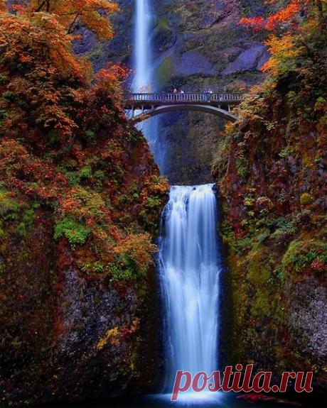 Мой Мир@Mail.Ru