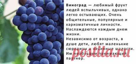 Фрукты-ягоды и мы
