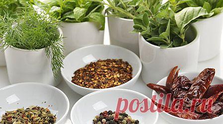 Специи от "А" до "Я"