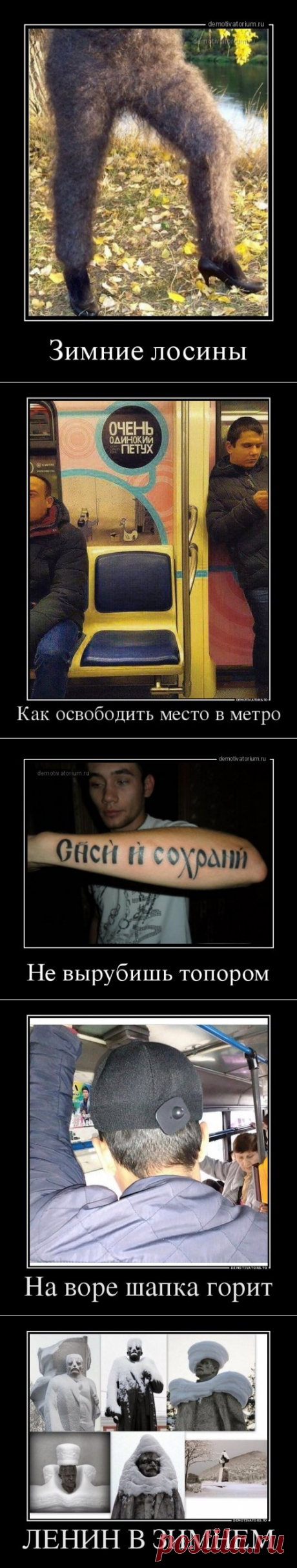 Прикольные демотиваторы в середине недели (14 шт)