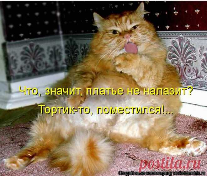 Котоматрица: Круть