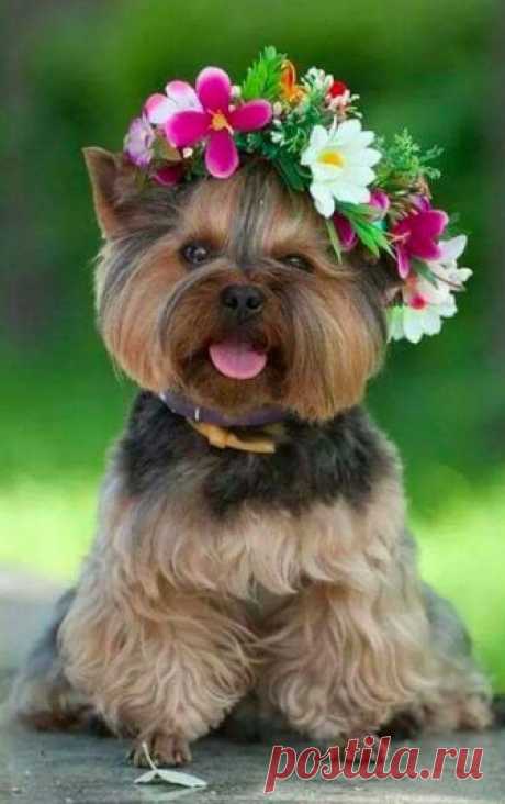 I love The Romantic world of nature. - Fotky