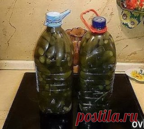 Соленые огурцы (как из бочки) в пластиковой бутылке. Этот рецепт очень простой,даже для ленивых хозяек))) Огурцы получаются солено-квашенные, как из бочки.
  В пустую 5-литровую пластиковую бутылку кладем промытые зонтики укропа, листья черной смородины,вишни, хрена (я добавляю еще немного кусочков корня хрена, так получается острее), 2 головки чеснока (очищенные и разобранные на дольки), горький красный перец (0,5-1 штучки будет достаточно). Можно добавить зерна горчицы и...