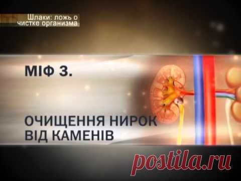 «Шлаки в организме» — какая это, все-таки, глупость и невежество! | Я ЗДОРОВ!