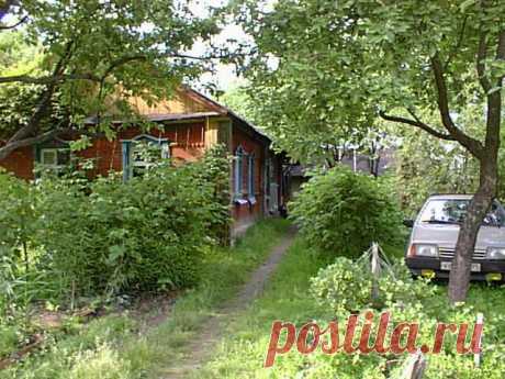 Дачные хитрости — 6 соток