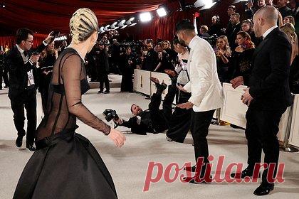 Леди Гага бросилась на помощь упавшему на ковровой дорожке «Оскара» фотографу. Актриса и певица Леди Гага бросилась на помощь фотографу, который упал позади нее во время прохода исполнительницы по ковровой дорожке на церемонии вручения премии «Оскар». Фотограф пытался сфотографировать образ Гаги в Versace, однако потерял равновесие и упал на ковер.