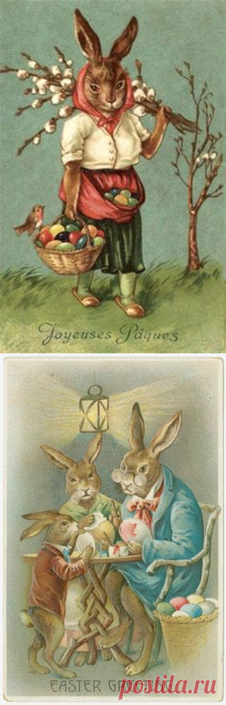 (1) Pinterest