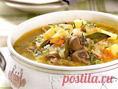 Рассольник с перловкой и почками классический | Кулинарные рецепты с фото на Рецептыши.ру