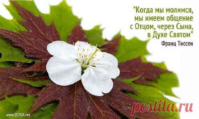 Виктория Репецкая
53 года, Украина, г.Киев
все её фото